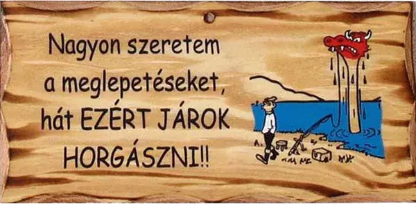 FATÁBLA NAGYON SZERETEM A MEGLEPETÉSEKET Snelle Levering