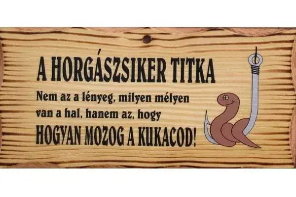 Alleen Vandaag FATÁBLA A HORGÁSZ SIKER TITKA