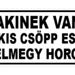 Goedkoop TRÉFA RENDSZÁM AKINEK VAN EGY KIS CSÖPP