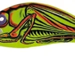 Aanbieding SALMO WOBBLER HORNET H2S BT Web és Horgászbol