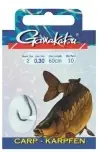 Carp előkötött 10/cs (BKG-3310F/004) Web és H Betrouwbaar