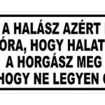 Veilige Betaling TRÉFA RENDSZÁM ‘A HALÁSZ AZÉRT MEGY ‘ - Horgászom.