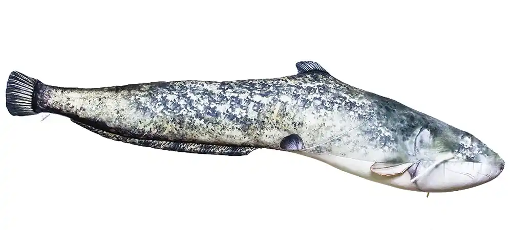 MONSTER HARCSA PÁRNA 200 CM Web és Horgászbol Uitverkoop
