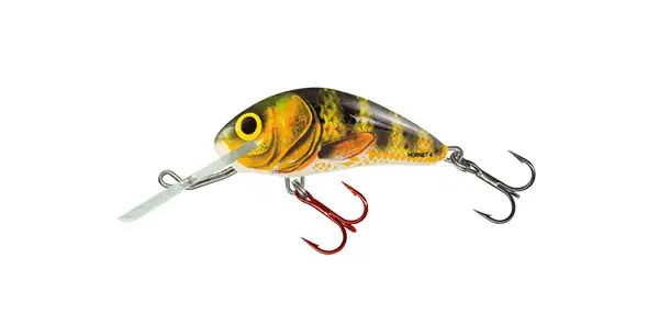 Betrouwbaar SALMO WOBBLER HORNET H5F RCW Web és Horgászbo