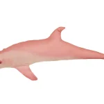 Actieprijs HALAS PÁRNA DELFIN BABY PINK 55CM Web és Horg