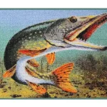 Delphin Szőnyeg 3D csuka 60x40cm Finale Uitverkoop