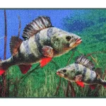 Delphin Szőnyeg 3D sügér 60x40cm Tijdelijk Beschikbaar