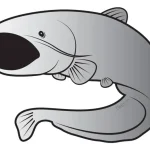 Delphin Harcsa silver 7*5cm öntapadó matrica Favoriet