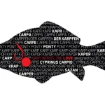 Bestseller Delphin Ponty words sorozat 10*4,6cm öntapadó matrica