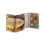 Rapture Spoon Box Limited Ed. Rainbow, műcsali tartó Dagaanbieding
