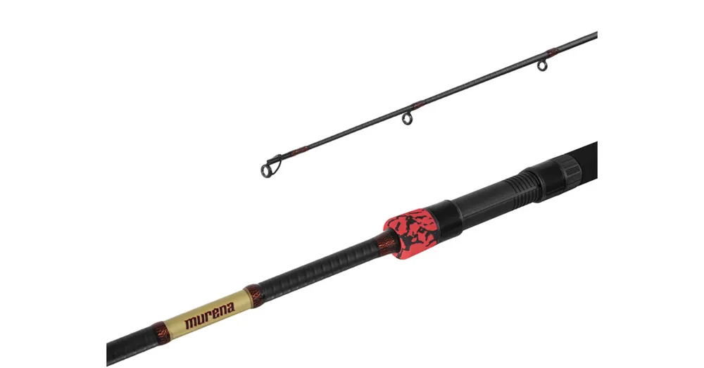 Express Levering Delphin MURENA POWER 300cm 125g pergető horgászbot