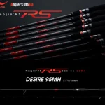 Voordeelprijs Apia Foojin RS Desire 95MH 2.87m 10-50gr pergető bot