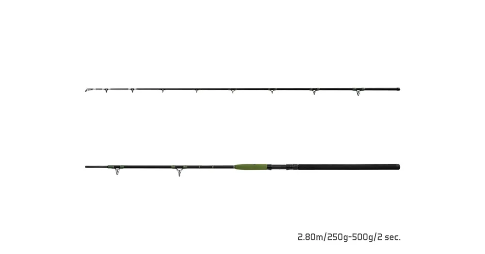 Delphin Energy Catfish 280/2 250-500g, harcsázó bot Veilige Betaling