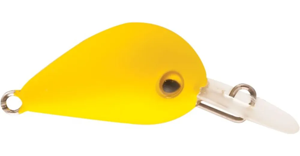 Superprijs Rapture Pro Hot Buzz Area S Mk 25mm 3g, wobbler
