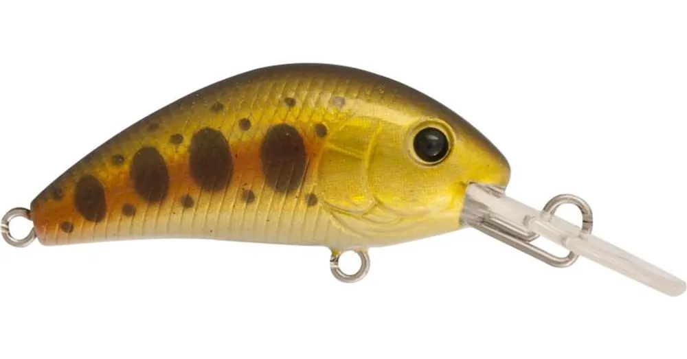 Actieprijs Rapture Pro Evoque Dr S Ynt 50mm/8.2g wobbler