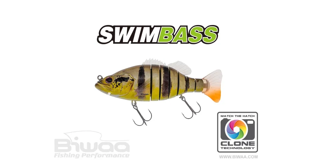 Biwaa Swimbass 6" Slow Sink 15cm 65g 37 Peacock wobbler Laatste Versie