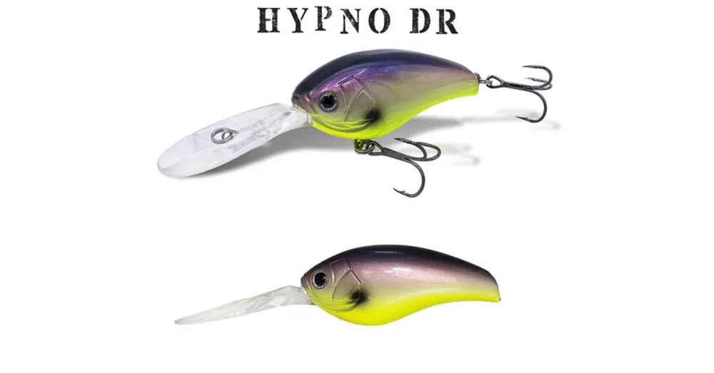 Laatste Kans Herakles Hypno-DR F 5,8cm 15,8gr Purple Gill wobbler