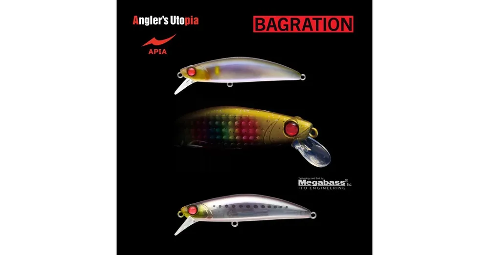 APIA BAGRATION 80 13gr 80mm 04 Iwashi wobbler Superprijs