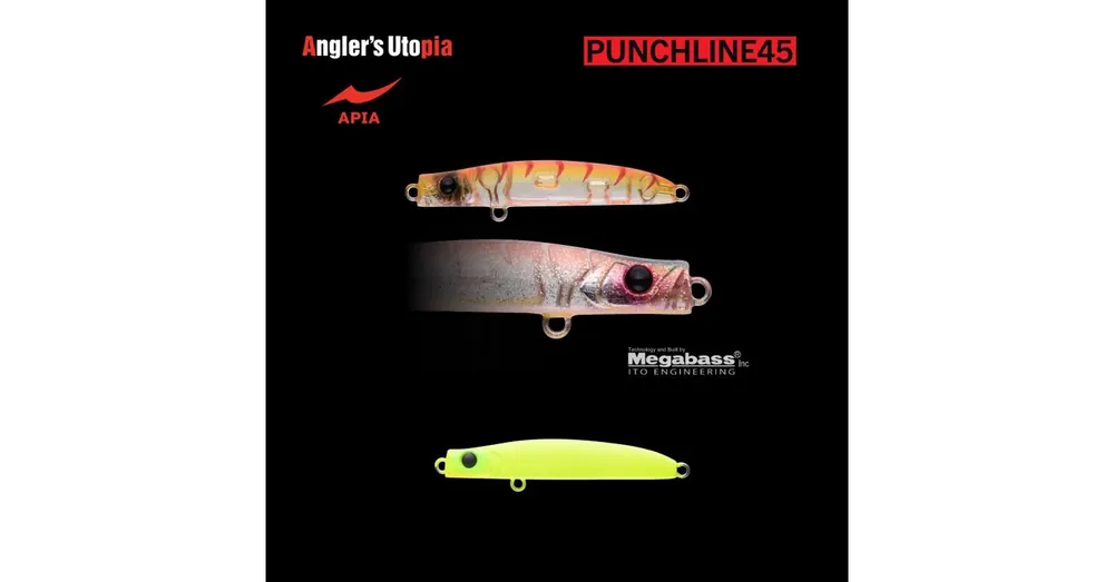 Flitsaanbieding APIA PUNCH LINE 45 3gr 45mm 10 All Chart wobbler