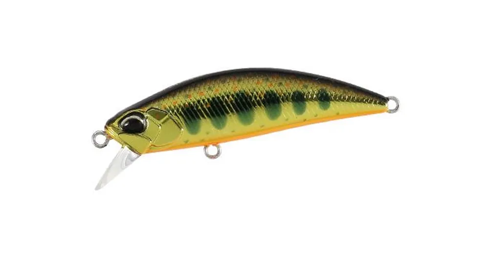 Exclusieve Aanbieding Duo Spearhead Ryuki 50S 5cm 4,5g MCC4084 Gold Yamame wobbler