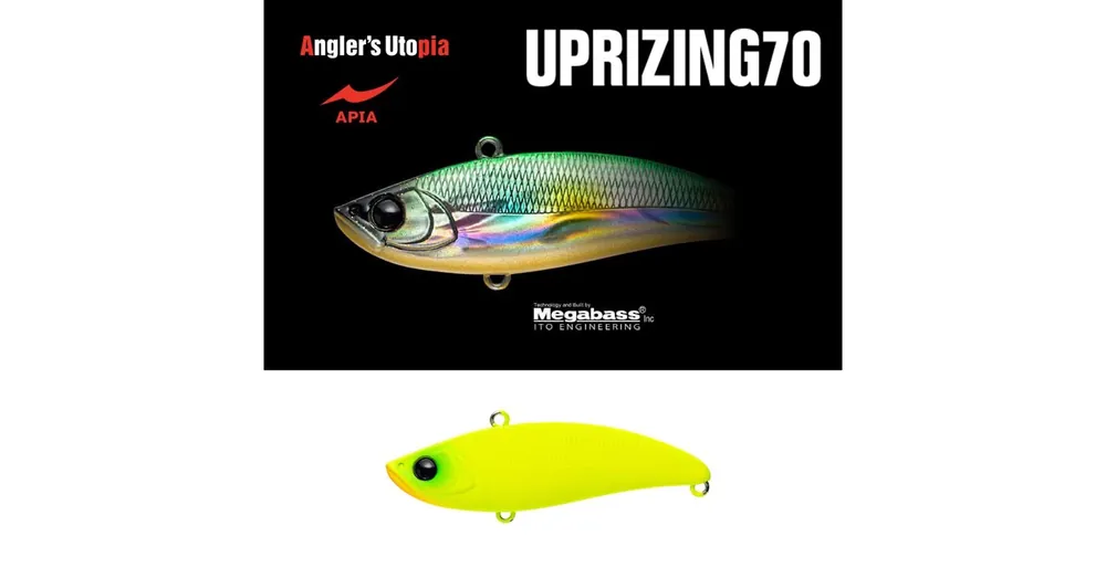 Apia Uprizing 70 14gr 70mm 03 All Chart wobbler Finale Uitverkoop