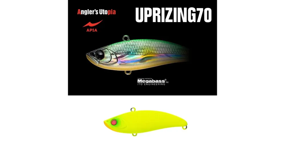 Apia Uprizing 70HW 18gr 70mm 03 All Chart wobbler Must-Have