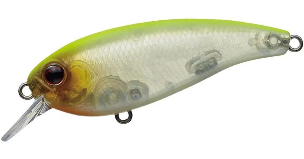 Beste Prijs Evergreen Belcanto 6,3cm 10g 59 Skeleton Chart wobbler