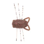 Voordeelprijs Reins Chibisecter - Miso Shrimp 2,3g 28mm műcsali