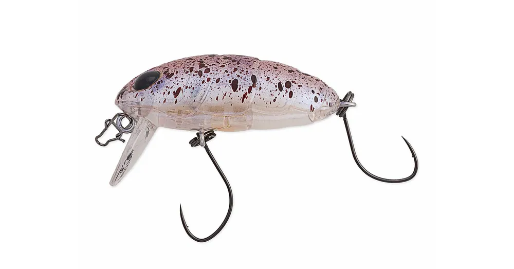 Speciale Aanbieding Nories Crankin Boss Pupa Shallow wobbler 40mm 5,6g (345) Gomafu Azarashi