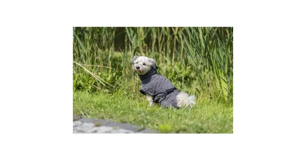 Trixie Bathrobe XS - fűrdőköpeny (szürke,frottír) kutyák részére (30cm) Koop Vandaag