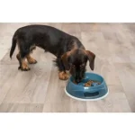 Weekendaanbieding Trixie Slow Feeding Plastic Bowl - evéslassító tál (többféle színben) kutyák részére (1,5l/Ø27cm)