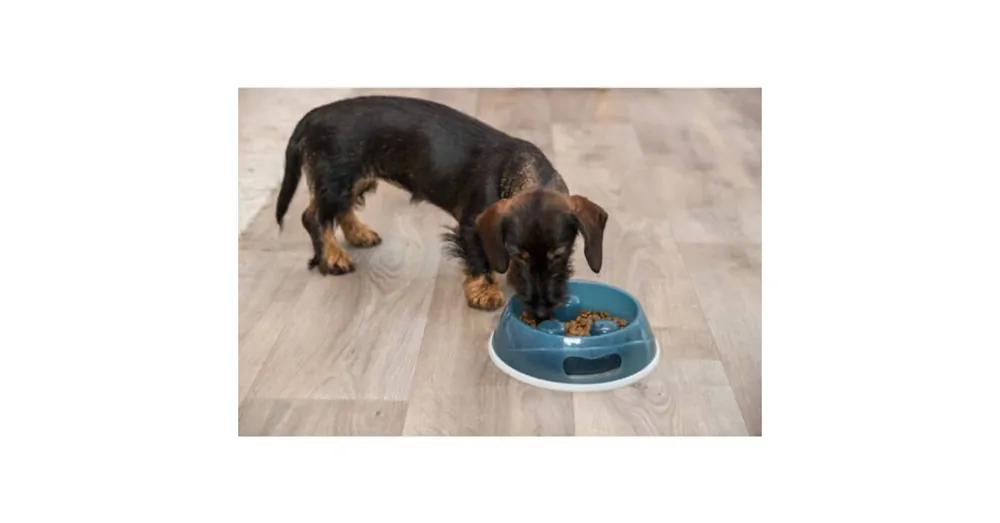 Weekendaanbieding Trixie Slow Feeding Plastic Bowl - evéslassító tál (többféle színben) kutyák részére (1,5l/Ø27cm)
