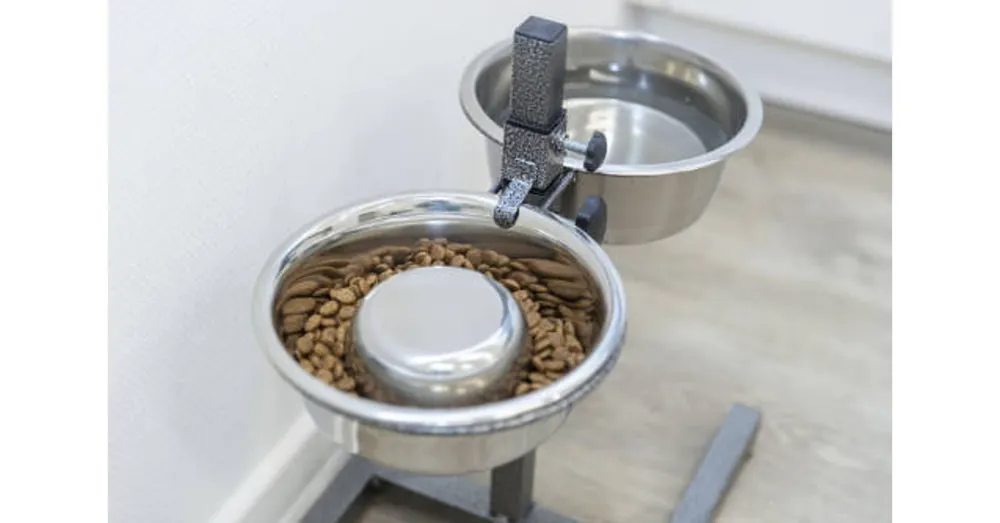 Trixie Slow Feeding Stainless Steel Bowl - evéslassító tál (fém, szilikon bevonattal) kutyák részére (Ø21cm/1,1l) Lage Kosten