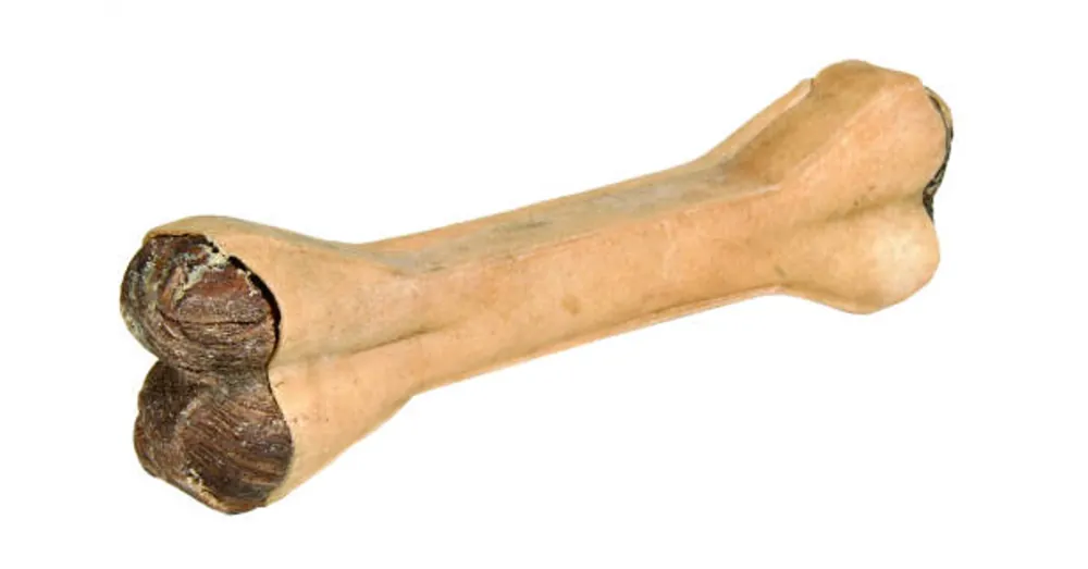 trixie 27623 pacalos rágócsont, 15cm Rechtstreeks Van De Fabrikant