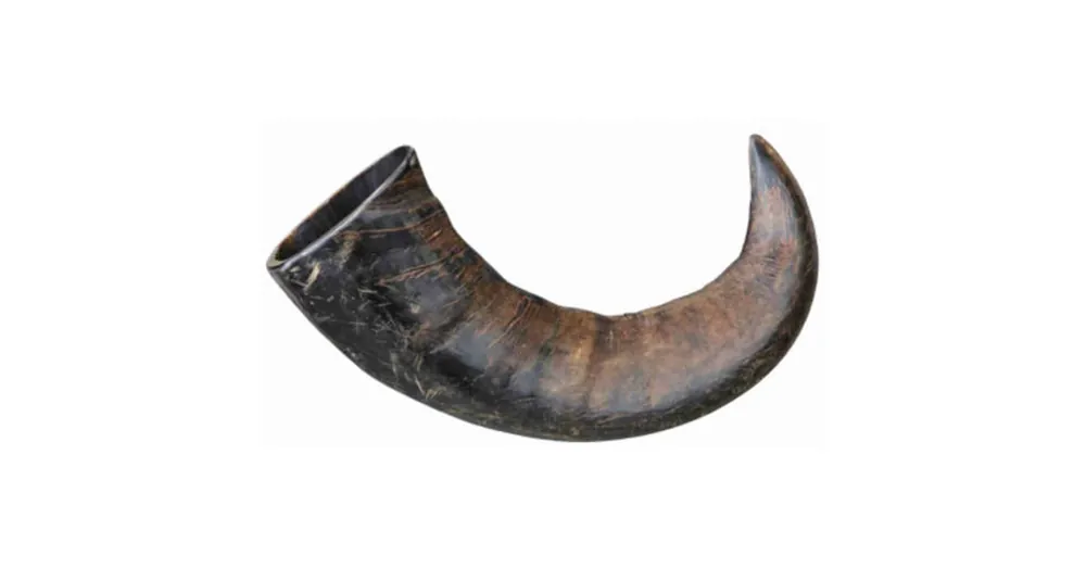 Trixie Buffalo Chewing Horn - bivalyszarv (large) kutyák részére Alleen Vandaag