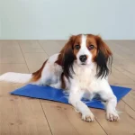 Beste Prijs Trixie Cooling Mat - hűtősítő matrac (kék) kutyák részére (65x50cm) L