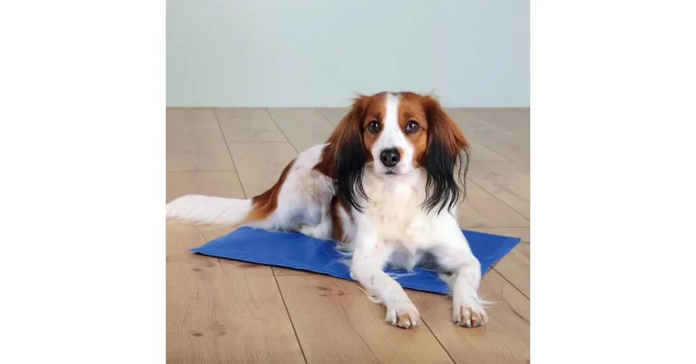 Beste Prijs Trixie Cooling Mat - hűtősítő matrac (kék) kutyák részére (65x50cm) L