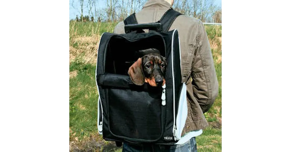Rechtstreeks Van De Fabrikant Trixie Trolley - szállítótáska (fekete,szürke) kisállatok részére 36×50×27cm (max 8kg)