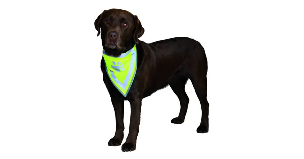 Seizoensaanbieding Trixie Safety Neckerchief - Fényvisszaverős kutyakendő XS-S (22-28cm)