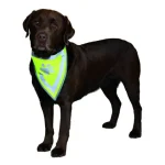 Actieprijs Trixie Safety Neckerchief - Fényvisszaverős kutyakendő S-M (29-42cm)