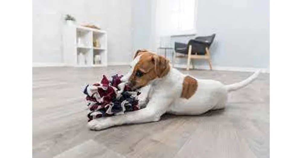 Shop Nu Trixie Dog Activity Sniffing Ball - interaktív játék (simat labda) kutyák részére (Ø15cm)