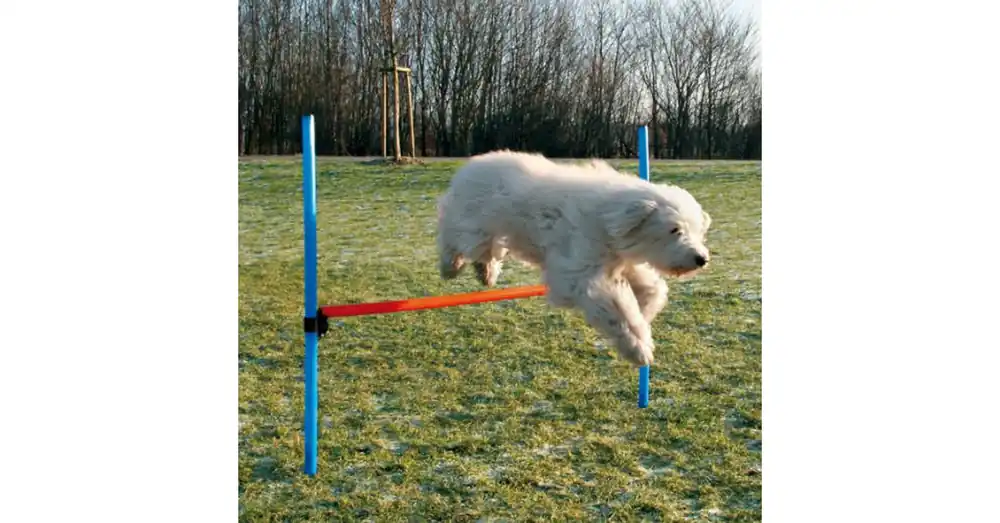 trixie 3207 Dog Activity játék Agility akadály 123x115 cm Tijdelijk Beschikbaar