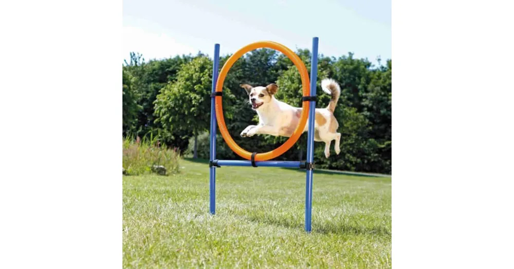 Seizoensaanbieding trixie 3208 Dog Activity játék Agility gyűrű