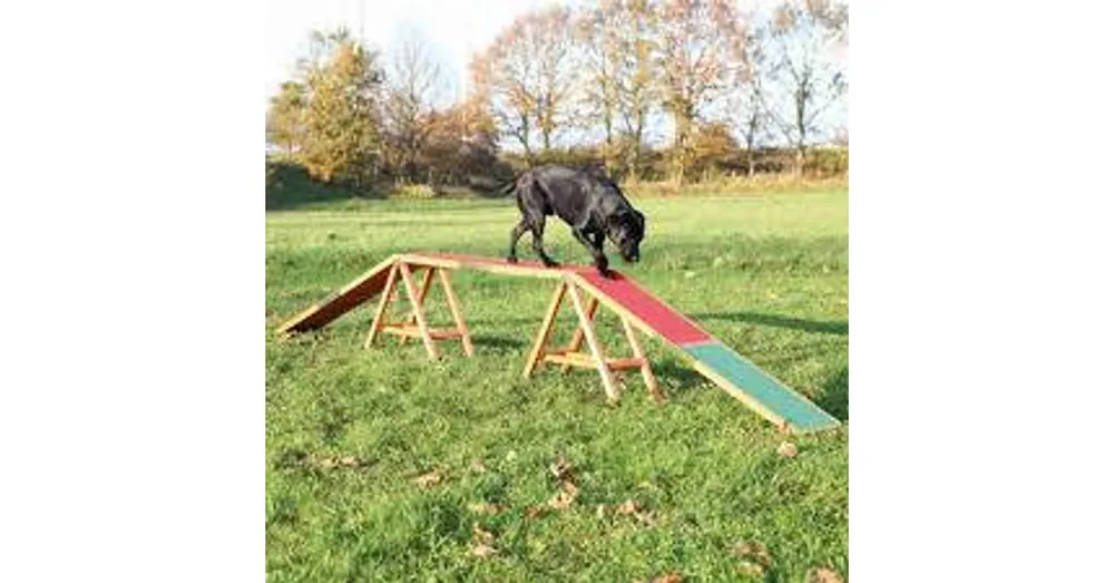 Trixie Agility Dogwalk - agility akadály (palló) kutyák részére (456x64x30cm) Premium