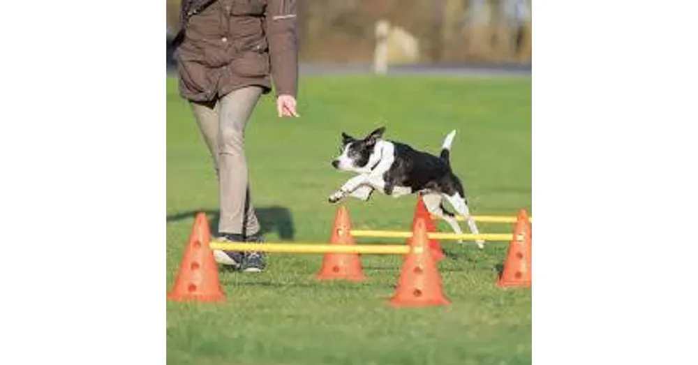 Trixie Sporting Obstacle Set - agility akadály (ugró akadály) kutyák részére (Ø23cm x 30/78cm) Flitsaanbieding