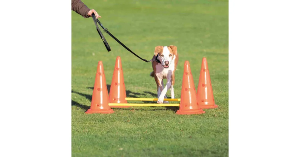 KT26.Trixie Sporting Obstacle Set - agility akadály (ugró akadály) kutyák részére (Ø30cm x 50/100cm) Meest Verkocht