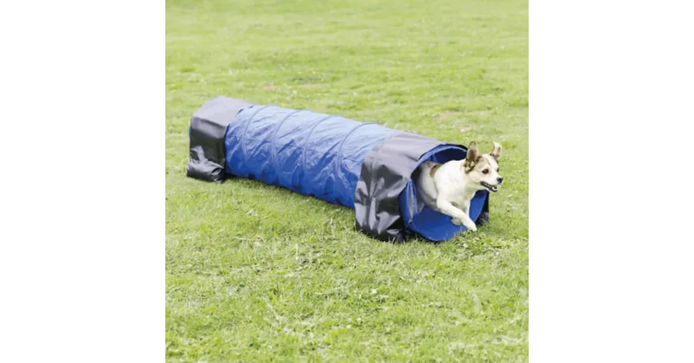 Betaalbaar Trixie Fun Agility Mini Tunnel - agiliti akadály (agility alagút) kutyák részére Ø40cm/2m