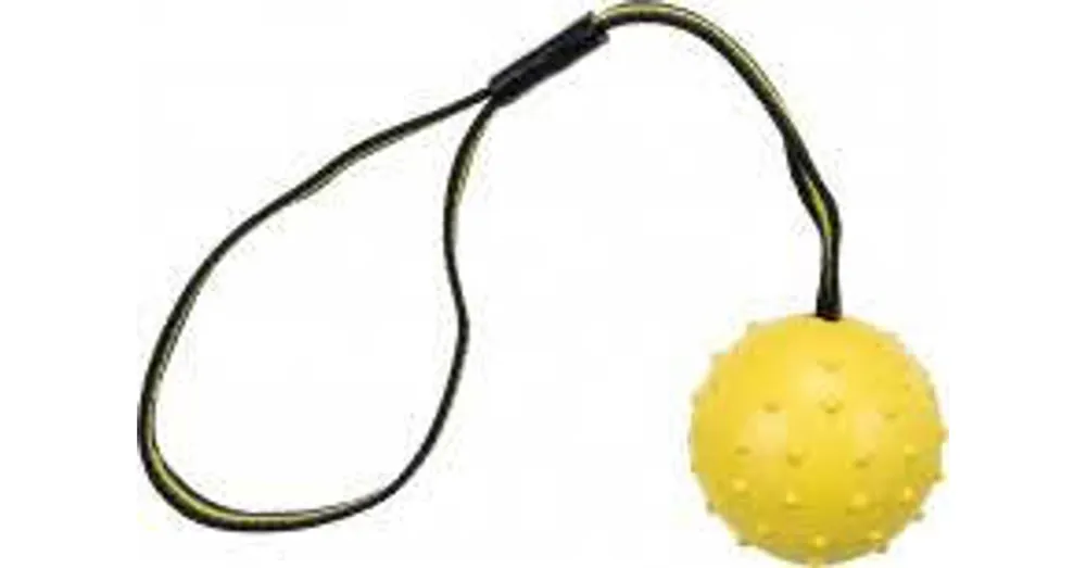 Koopje Trixie Sporting Ball on a Strap - natúr gumi játék (labda) kutyák részére (Ø6x35cm)
