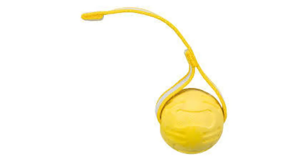 Trixie Ball on a Strap for Dogs - TPR vízi játék (labda) kutyák részére (Ø6/20cm) Hoge Kwaliteit