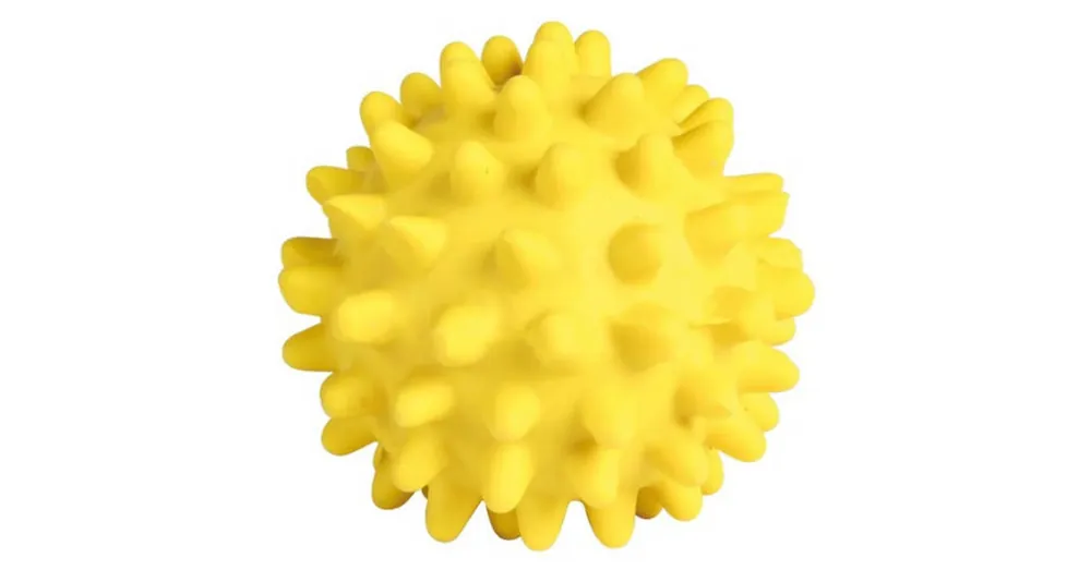 Betaalbaar Trixie Hedgehog Ball - labda játék (tüskés) kutyák részére (Ø6cm)